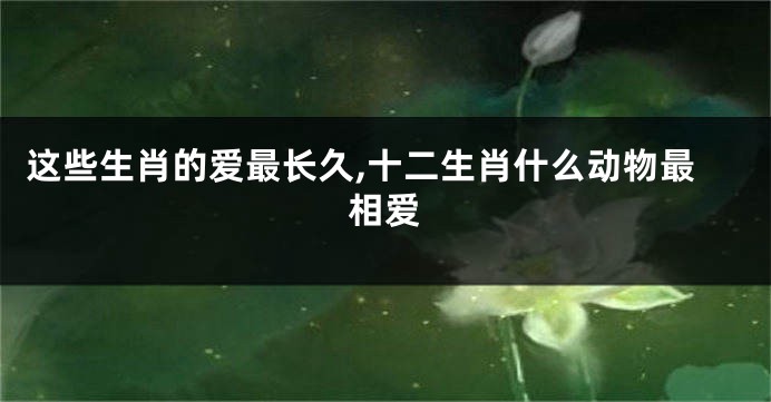 这些生肖的爱最长久,十二生肖什么动物最相爱