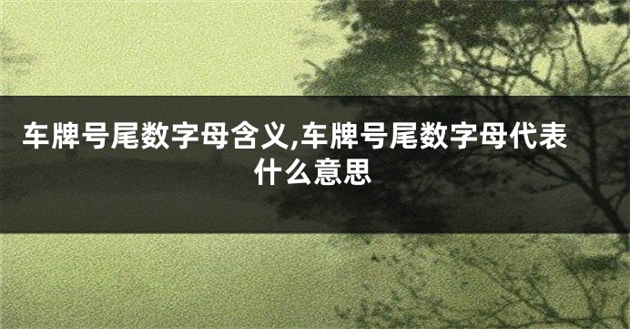 车牌号尾数字母含义,车牌号尾数字母代表什么意思