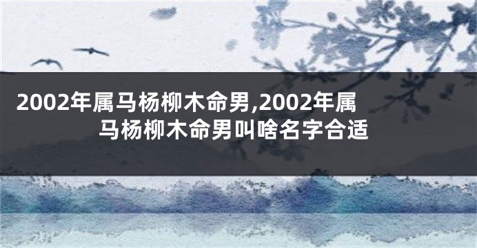 2002年属马杨柳木命男,2002年属马杨柳木命男叫啥名字合适