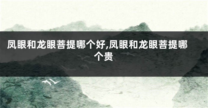 凤眼和龙眼菩提哪个好,凤眼和龙眼菩提哪个贵