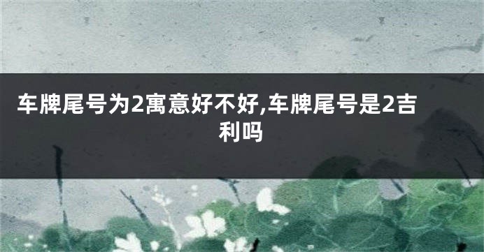 车牌尾号为2寓意好不好,车牌尾号是2吉利吗