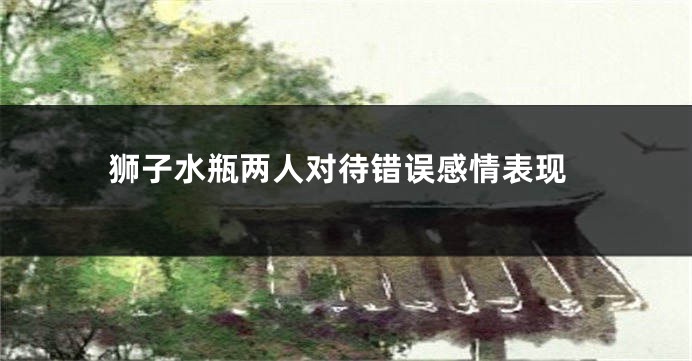 狮子水瓶两人对待错误感情表现
