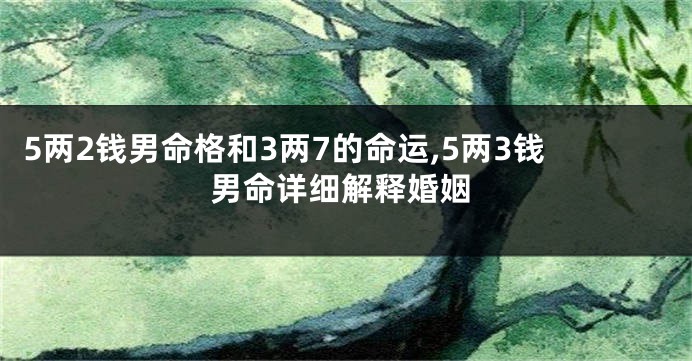 5两2钱男命格和3两7的命运,5两3钱男命详细解释婚姻