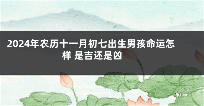 2024年农历十一月初七出生男孩命运怎样 是吉还是凶 