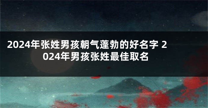 2024年张姓男孩朝气蓬勃的好名字 2024年男孩张姓最佳取名