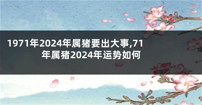1971年2024年属猪要出大事,71年属猪2024年运势如何