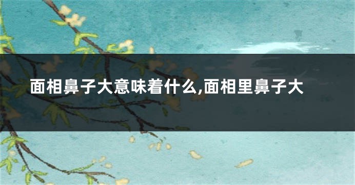 面相鼻子大意味着什么,面相里鼻子大