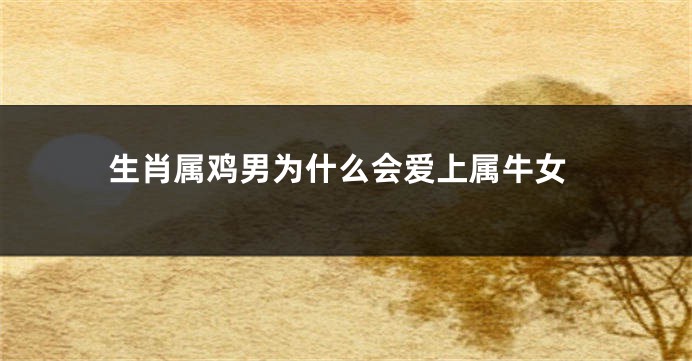 生肖属鸡男为什么会爱上属牛女