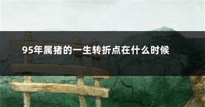 95年属猪的一生转折点在什么时候