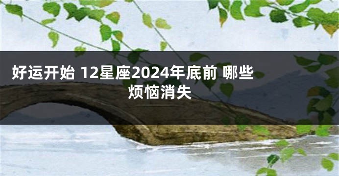 好运开始 12星座2024年底前 哪些烦恼消失 