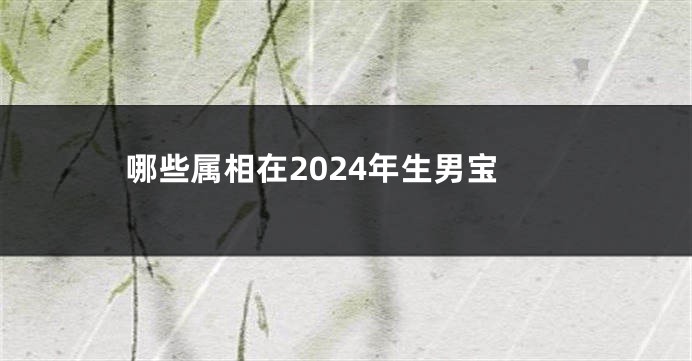哪些属相在2024年生男宝