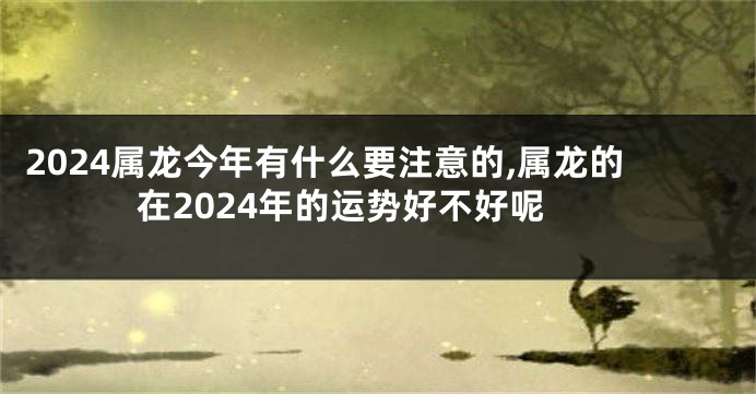 2024属龙今年有什么要注意的,属龙的在2024年的运势好不好呢
