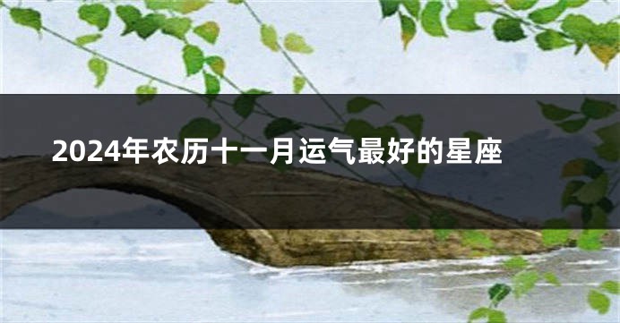 2024年农历十一月运气最好的星座