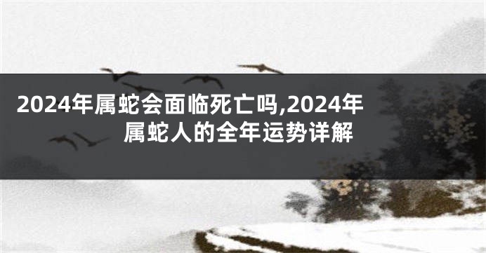 2024年属蛇会面临死亡吗,2024年属蛇人的全年运势详解