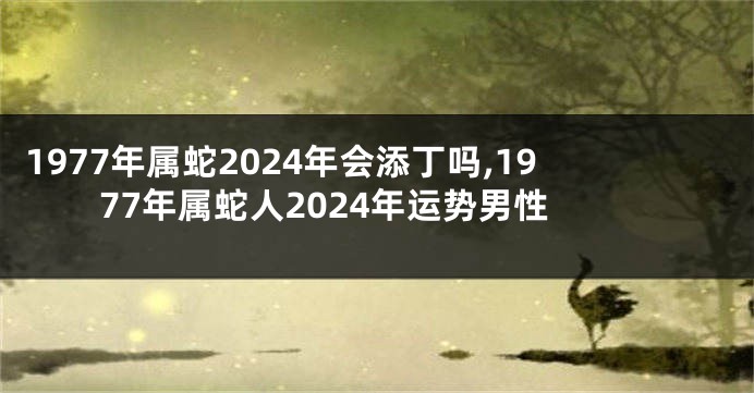 1977年属蛇2024年会添丁吗,1977年属蛇人2024年运势男性