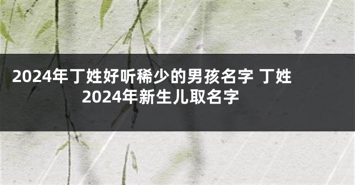 2024年丁姓好听稀少的男孩名字 丁姓2024年新生儿取名字