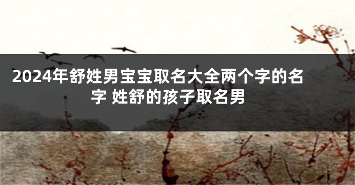 2024年舒姓男宝宝取名大全两个字的名字 姓舒的孩子取名男