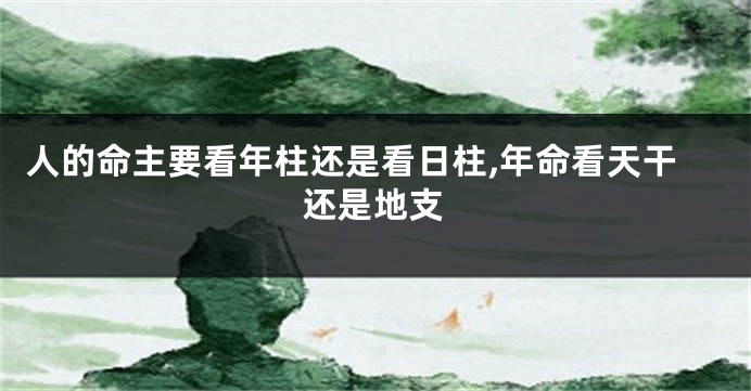 人的命主要看年柱还是看日柱,年命看天干还是地支