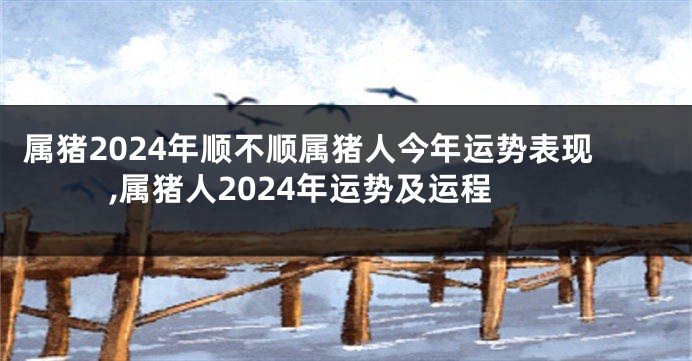 属猪2024年顺不顺属猪人今年运势表现,属猪人2024年运势及运程