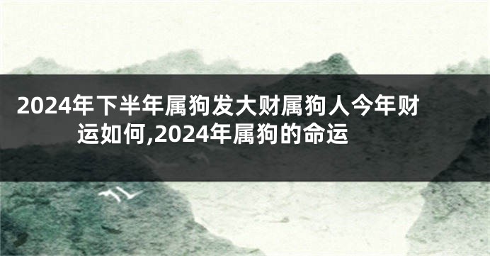 2024年下半年属狗发大财属狗人今年财运如何,2024年属狗的命运
