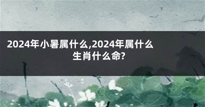 2024年小暑属什么,2024年属什么生肖什么命?