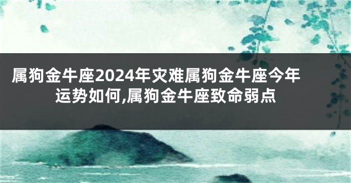属狗金牛座2024年灾难属狗金牛座今年运势如何,属狗金牛座致命弱点