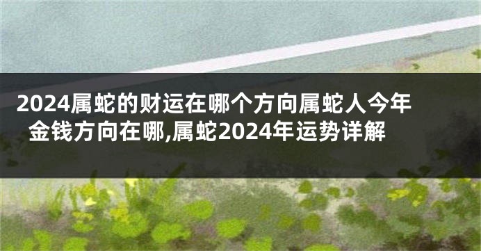 2024属蛇的财运在哪个方向属蛇人今年金钱方向在哪,属蛇2024年运势详解