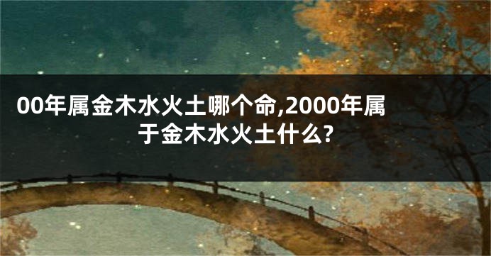 00年属金木水火土哪个命,2000年属于金木水火土什么?