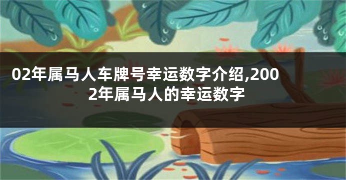 02年属马人车牌号幸运数字介绍,2002年属马人的幸运数字