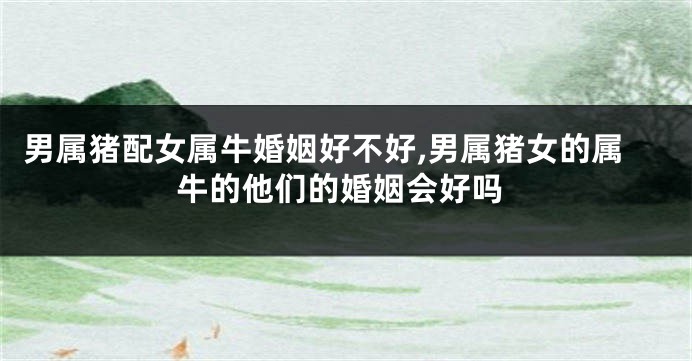 男属猪配女属牛婚姻好不好,男属猪女的属牛的他们的婚姻会好吗