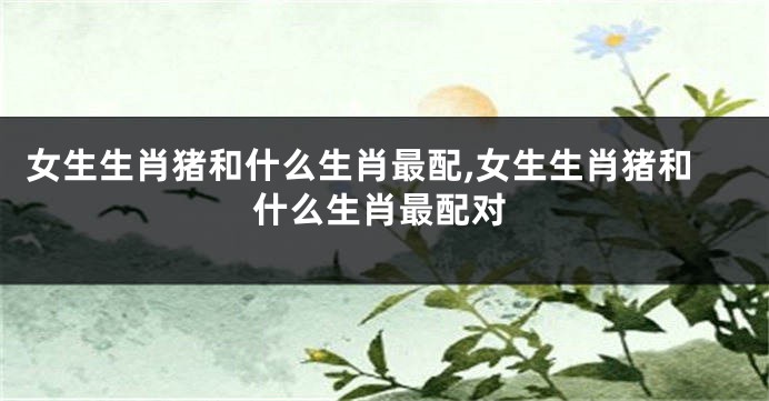 女生生肖猪和什么生肖最配,女生生肖猪和什么生肖最配对