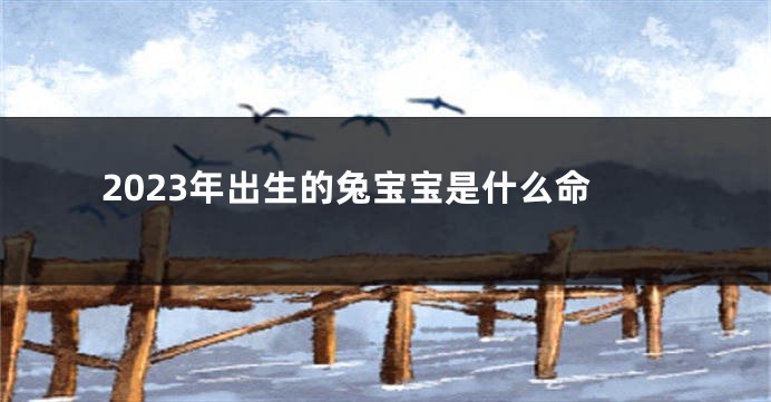 2023年出生的兔宝宝是什么命
