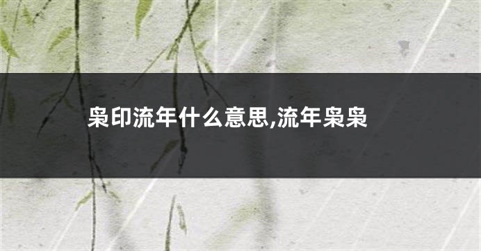 枭印流年什么意思,流年枭枭