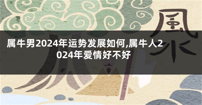 属牛男2024年运势发展如何,属牛人2024年爱情好不好