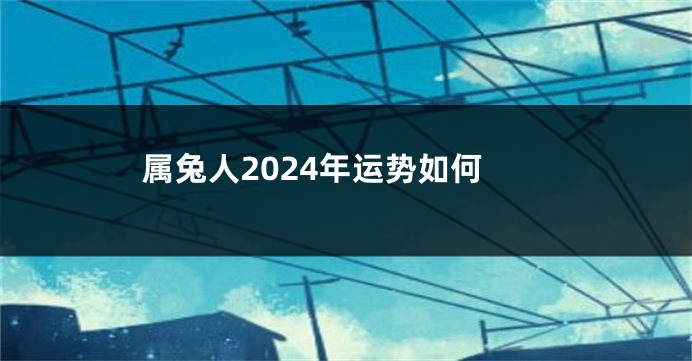 属兔人2024年运势如何