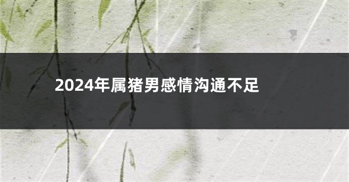 2024年属猪男感情沟通不足
