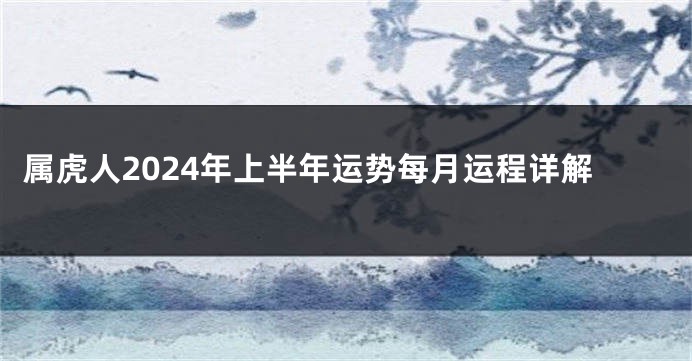 属虎人2024年上半年运势每月运程详解