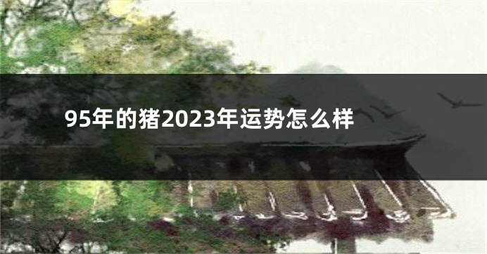 95年的猪2023年运势怎么样