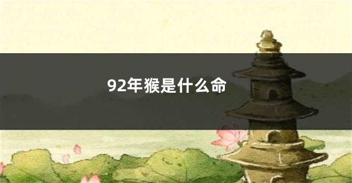 92年猴是什么命