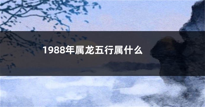 1988年属龙五行属什么