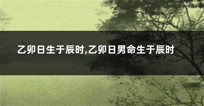 乙卯日生于辰时,乙卯日男命生于辰时