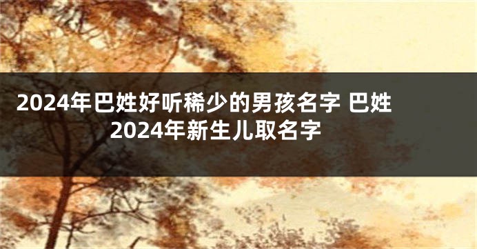 2024年巴姓好听稀少的男孩名字 巴姓2024年新生儿取名字