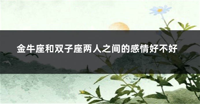 金牛座和双子座两人之间的感情好不好