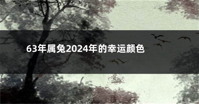 63年属兔2024年的幸运颜色