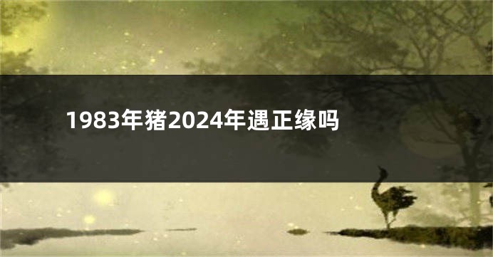1983年猪2024年遇正缘吗
