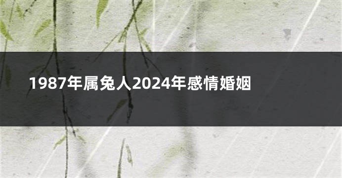 1987年属兔人2024年感情婚姻