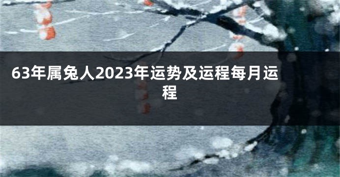 63年属兔人2023年运势及运程每月运程