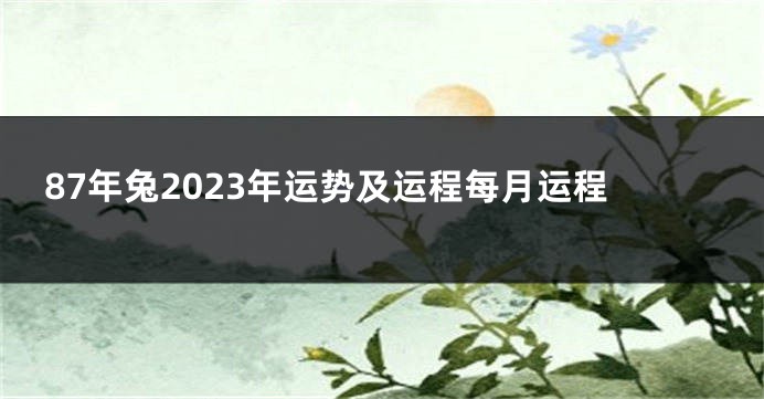 87年兔2023年运势及运程每月运程