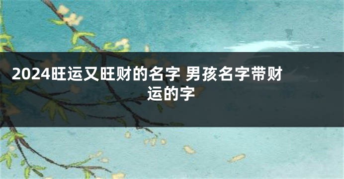 2024旺运又旺财的名字 男孩名字带财运的字