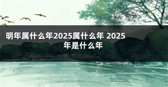 明年属什么年2025属什么年 2025年是什么年